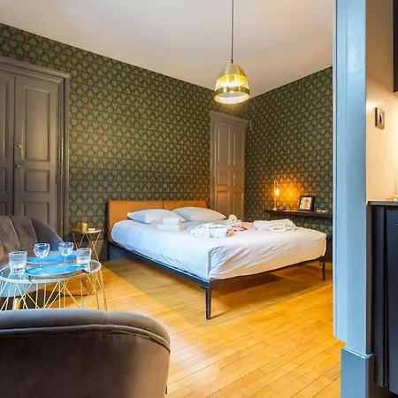 Le Secret Des Ducs - Privatif Apartment Dijon